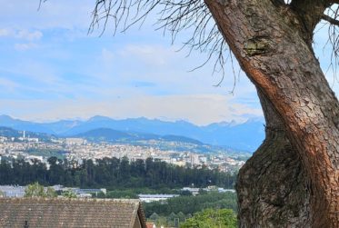 Magnfique appartement de 5 pces rénové avec grand jardin, garage double, piscine intérieure.