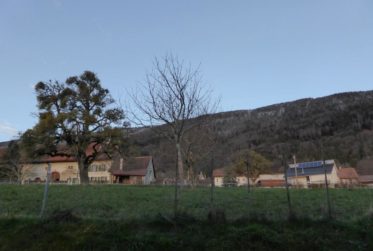 Villa individuelle au pied du Jura