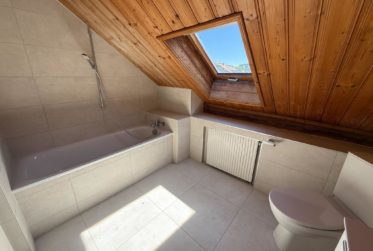 Grand appartement de 4 pièces rénové avec mezzanine