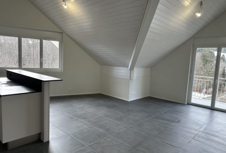 NEUF proche de Nyon, 4½ pièces
