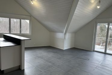 NEUF superbe 4½ pièces