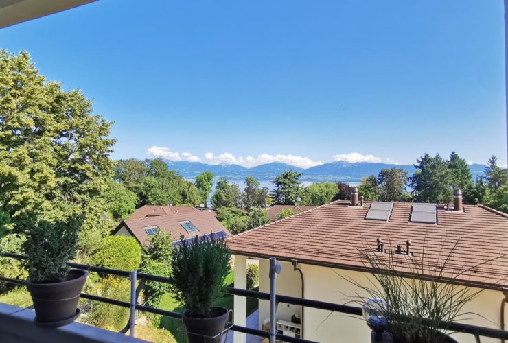 Appartement 3 pièces au 1er étage - vue sur le lac