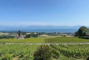 ** Véritable balcon du Léman **