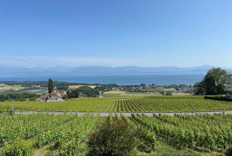 **Maison avec vue imprenable**