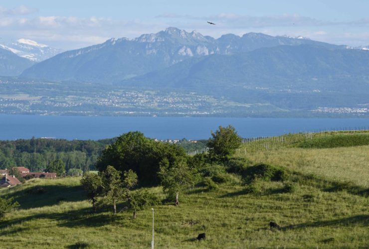 Vue sur le lac grande villa individuelle à Yens s/Morges