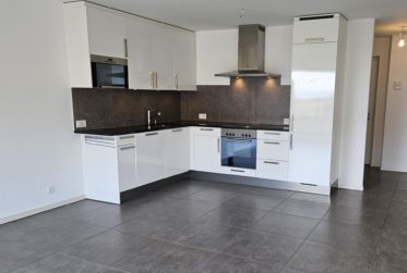 Magnifique duplex de 3,5 pces dans le village d'Etoy