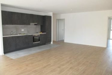 Appartement de 3½ pièces au rez