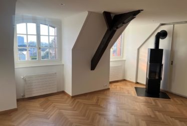 4½ pièces avec jardin