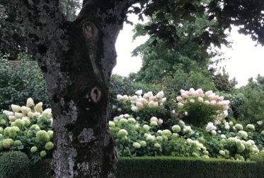 Meublé - 3½ pièces à Vufflens-le-Château