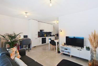 Spécial investisseur : 2 Pièces neuf en rez de chaussée (Loué)