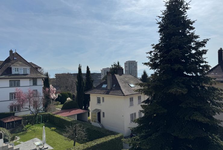 Rénové 3 pièces !