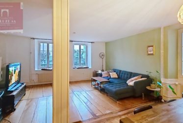 Immeuble de 3 appartements+commerce (loués)