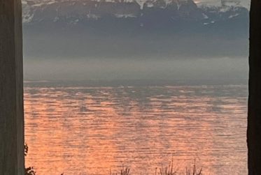 Au centre-ville, 3½ pièces