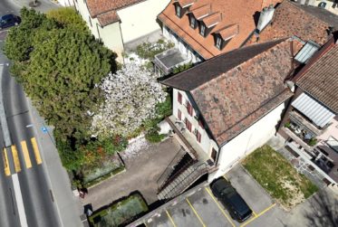 Pour investisseur : Immeuble locatif mixte bien situé