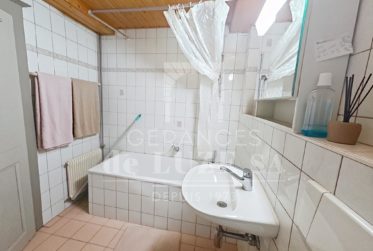 Pour investisseur : Immeuble locatif mixte bien situé