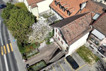 Pour investisseur : Immeuble locatif mixte bien situé