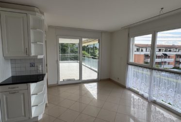 Magnifique 5½ pièces avec vue