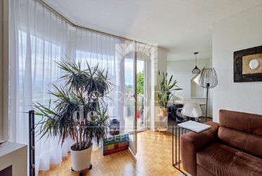Exclusif : Pour investisseur - Joli 2.5 pièces avec vue lac