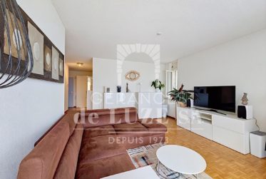 Exclusif : Pour investisseur - Joli 2.5 pièces avec vue lac