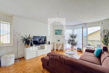 Exclusif : Pour investisseur - Joli 2.5 pièces avec vue lac
