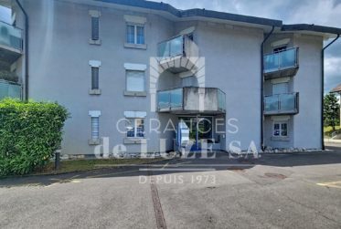 Exclusif : Pour investisseur - Joli 2.5 pièces avec vue lac