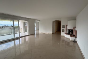 Magnifique 5½ pièces avec vue