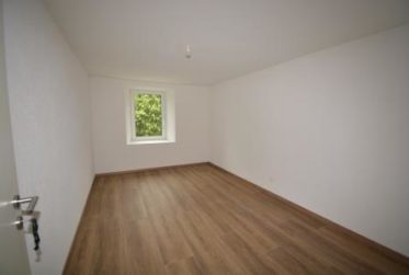 Beau 4½ pièces au 1er étage