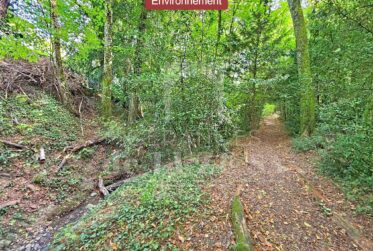 EN EXCLUSIVITÉ – VILLA FAMILIALE DE 6 PIÈCES AVEC JARDIN PRIVATIF