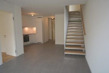 Appartement de 4 pièces en duplex