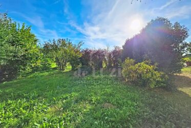 Exclusif : 3.5 pièces en rez-de-jardin avec terrasse et jardin privatif